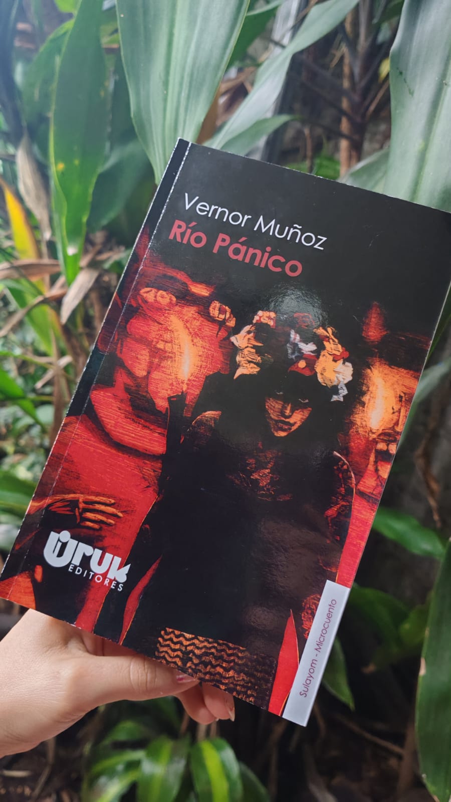Río Pánico de Vernor Muñoz